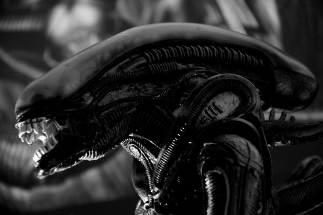 alien xenomorfo
