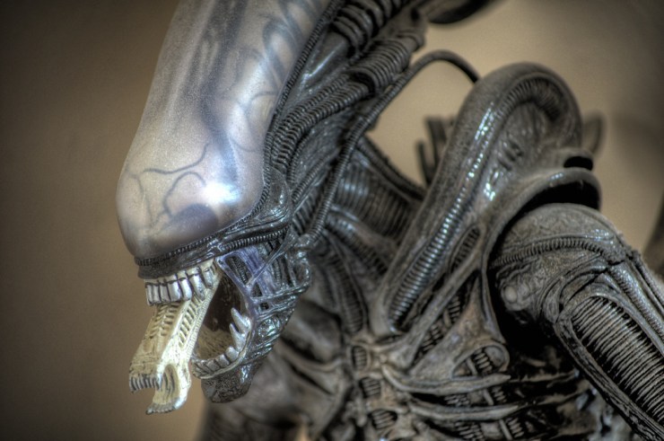 alien xenomorfo bocca